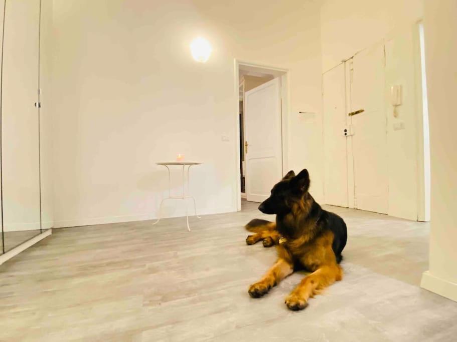 Apartamento Mamisa Rome, Con Parcheggio Privato E Gratuito Roma